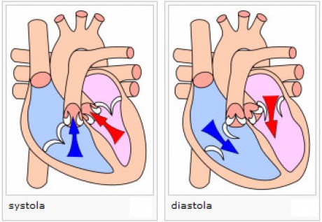systola-a-diastola
